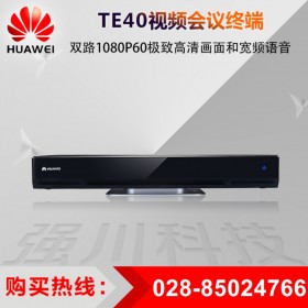 SVC柔性解碼丨華為視頻會(huì)議供應(yīng)商_TE40會(huì)議電視終端(1080P30) 無線麥克風(fēng)VPM220W接入
