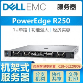 成都戴爾DELL總代理商_R250新一代經(jīng)濟(jì)型機(jī)架式服務(wù)器-實(shí)現(xiàn)數(shù)據(jù)價(jià)值