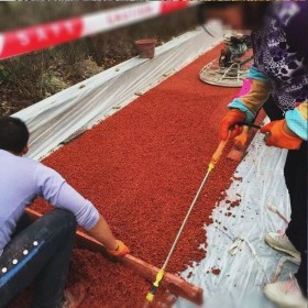 四川省都江堰市彩色生態(tài)透水混凝土地坪  山西太原市透水混凝土里面 透水混凝土施工價格 彩色透水混凝土材料生產廠家   壓?；炷敛牧蠌S家 透水粘接劑廠家送貨到工地
