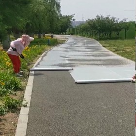 自貢市透水地坪 彩色透水混凝土生產(chǎn)廠家  透水罩面劑 生態(tài)透水砼粘接劑 透水混凝土5公分包工包料 現(xiàn)場(chǎng)施工免費(fèi)指導(dǎo)  量大送貨到工地