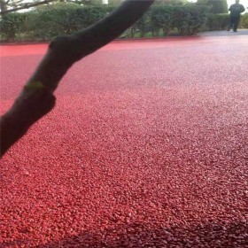 云南透水混凝土增強(qiáng)劑 c20透水混凝土 彩色透水砼膠粉廠家 免費(fèi)輔導(dǎo)
