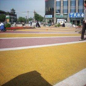 透水露骨混凝土 無砂透水性混凝土彩色路面 廠家報價