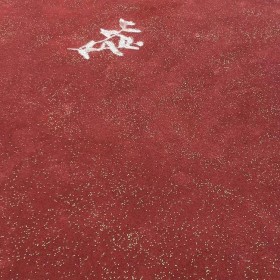 彩色透水混凝土道路 彩色透水混凝土材料生產(chǎn)廠家 透水混凝土 免費(fèi)施工指導(dǎo)