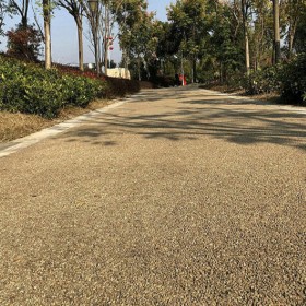 c30彩色混凝土 生態(tài)透水地坪 彩色透水混凝土路 廠家批發(fā)價(jià)格