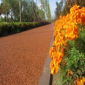 操場彩色混凝土 彩色透水混凝土 露骨地坪 生態(tài)透水路面 廠家排行榜