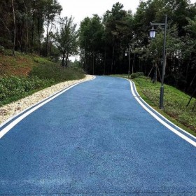 c20透水混凝土 彩色生態(tài)透水混凝土地坪 彩色透水綠道 生產(chǎn)工廠