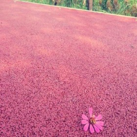 西安市 透水性混凝土彩色路面 生態(tài)透水水泥混凝土 露骨彩色透水混凝土 廠家報價